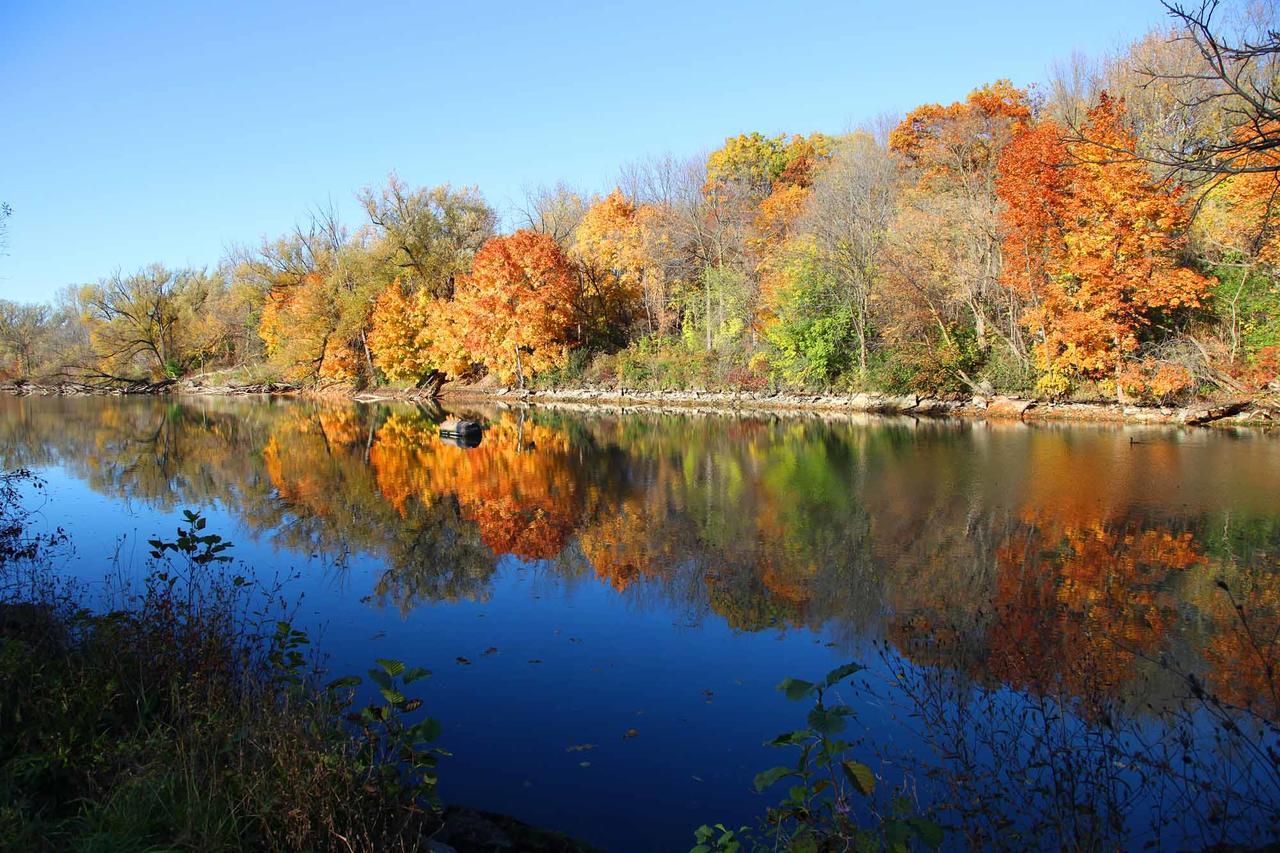 Lily'S House On The 12 Bed & Breakfast Saint Catharines ภายนอก รูปภาพ